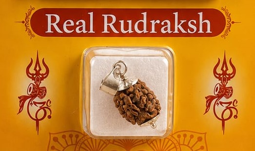 Rudraksha